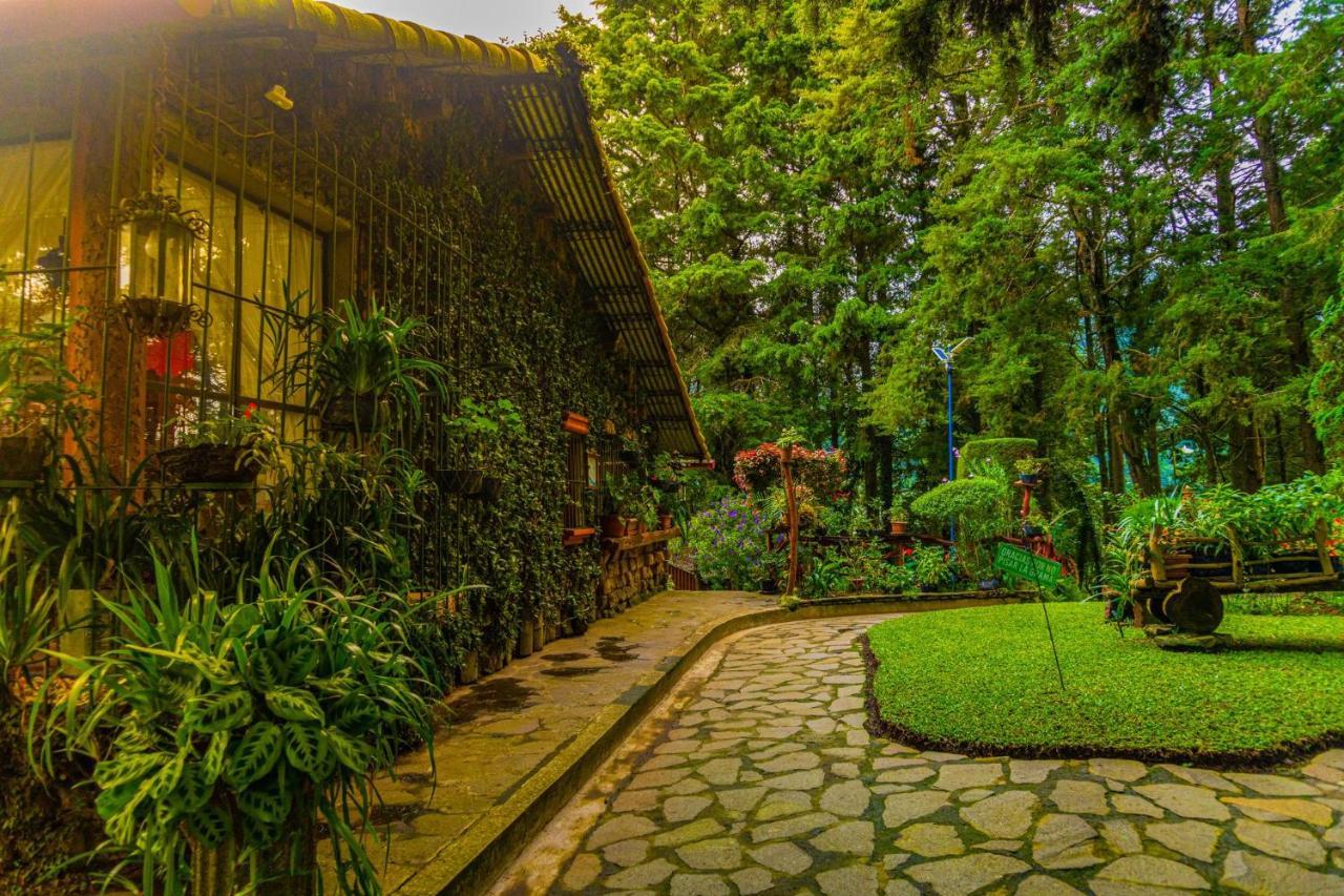 Los Naranjos Town Houses Exterior foto